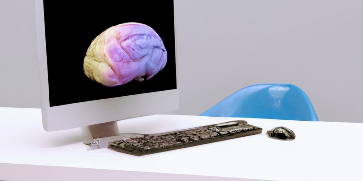 This shows a brain on a computer monitor
