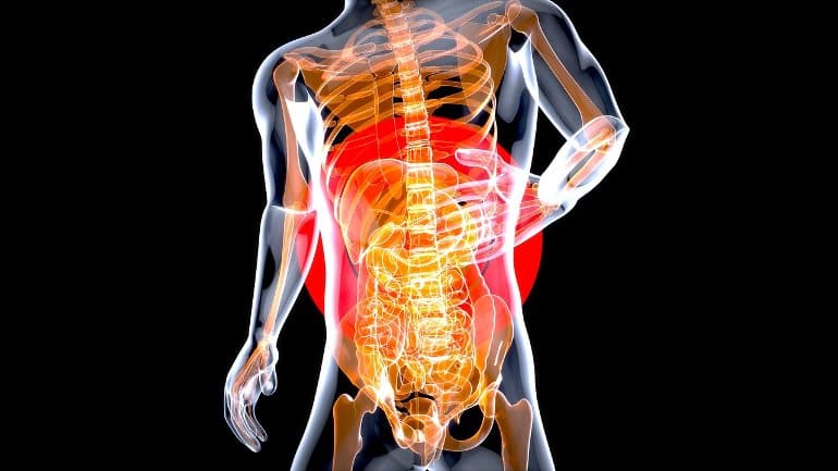 This shows the outline of a person with the gut highlighted