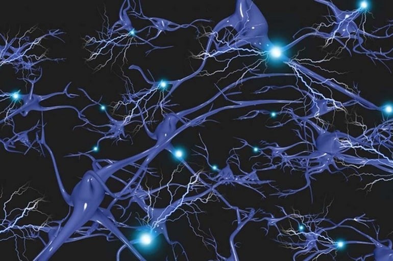 This shows neurons