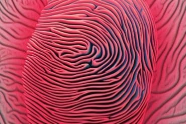 This shows a red fingerprint that looks like a brain.