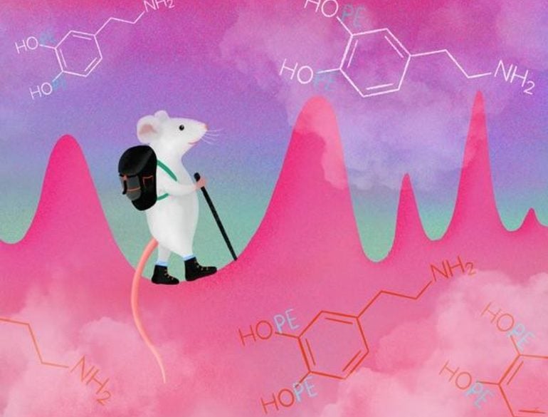 This is a cartoon of a mouse walking up a mountain surrounded by chemical symbols