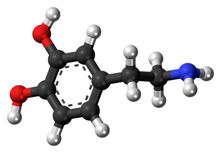 3D structure of dopamine.