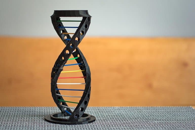 This shows a model of DNA