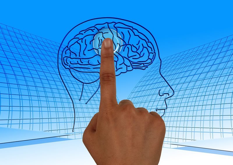 This shows a finger pointing to a picture of a brain