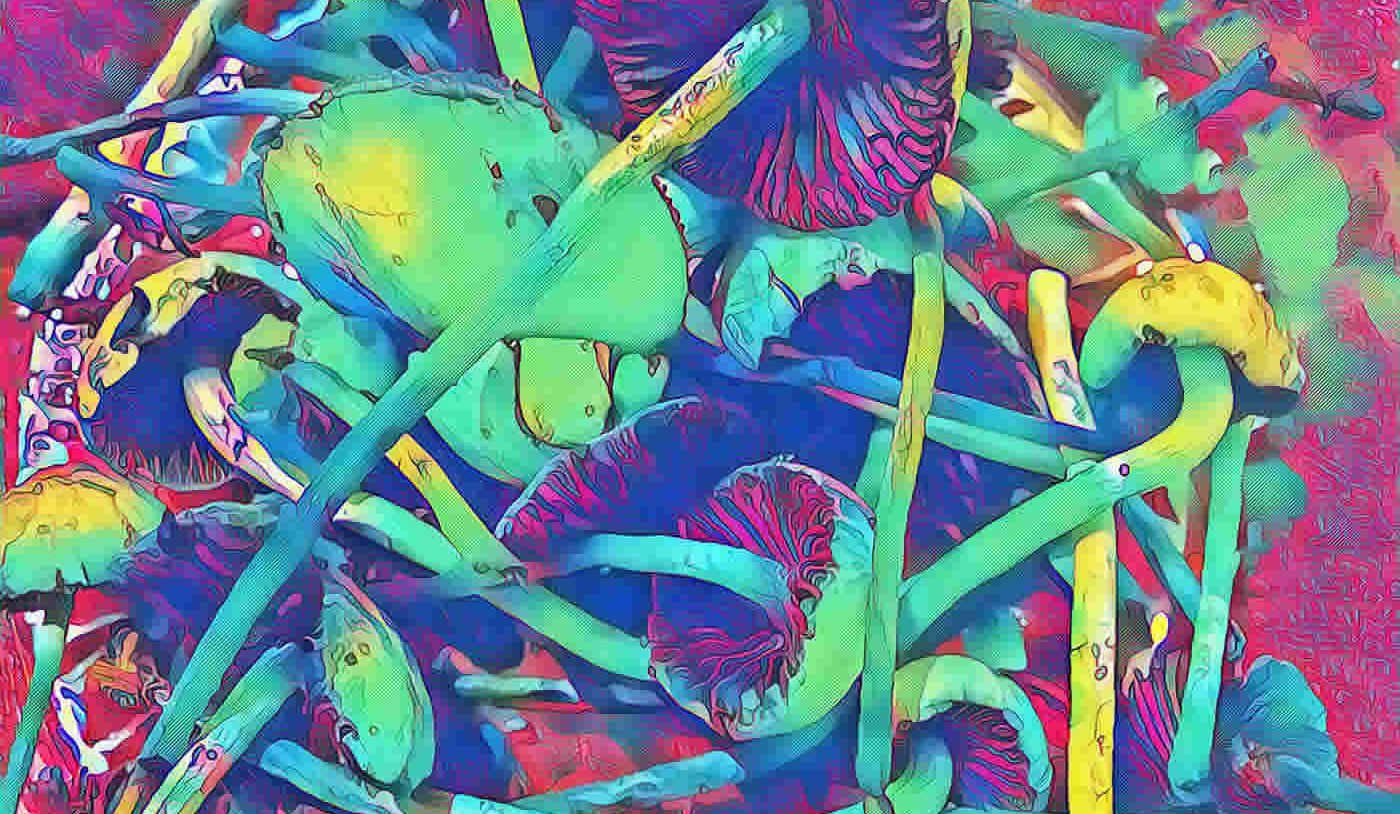 mushrooms in psychedelic colors