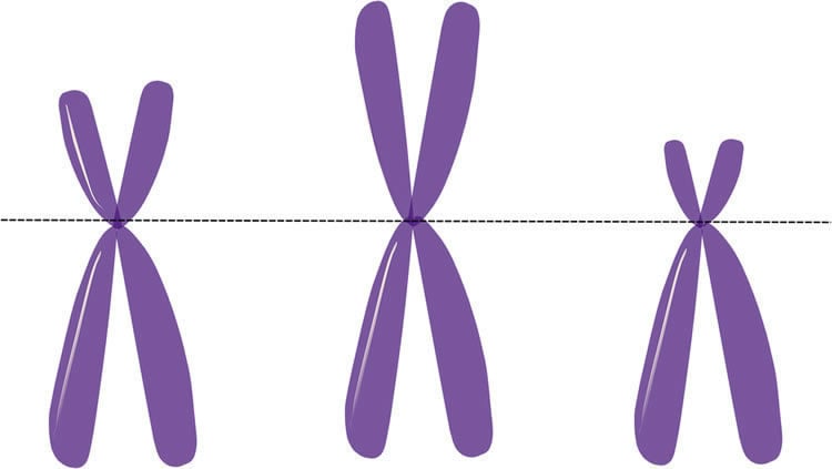 This image shows three large purple Xs